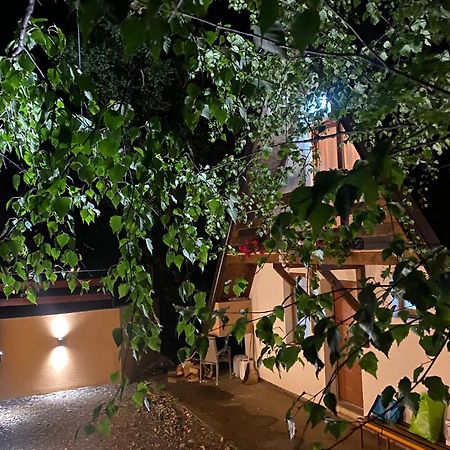 Vikendica Stojanovic Villa Mionica Ngoại thất bức ảnh
