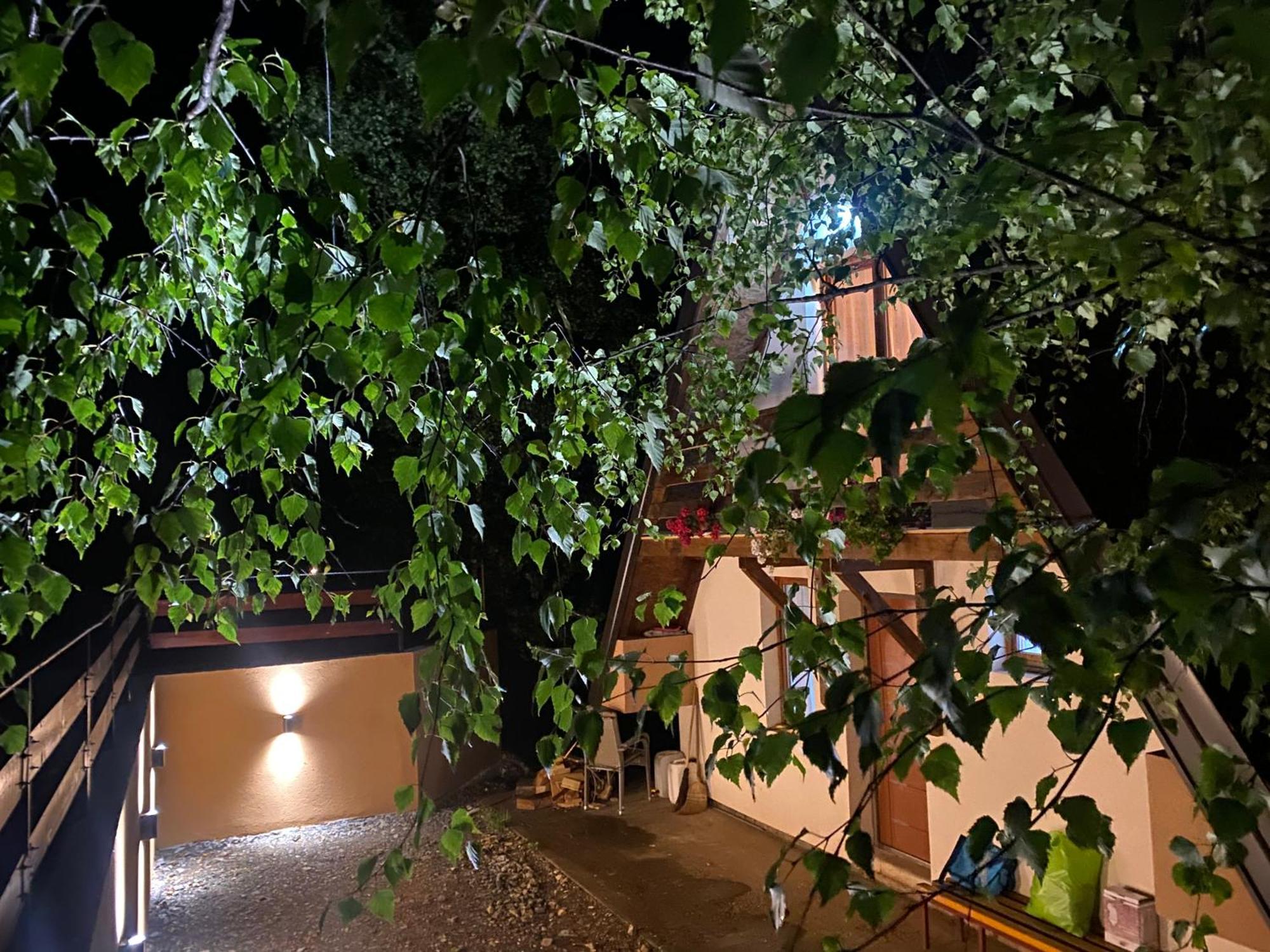 Vikendica Stojanovic Villa Mionica Ngoại thất bức ảnh